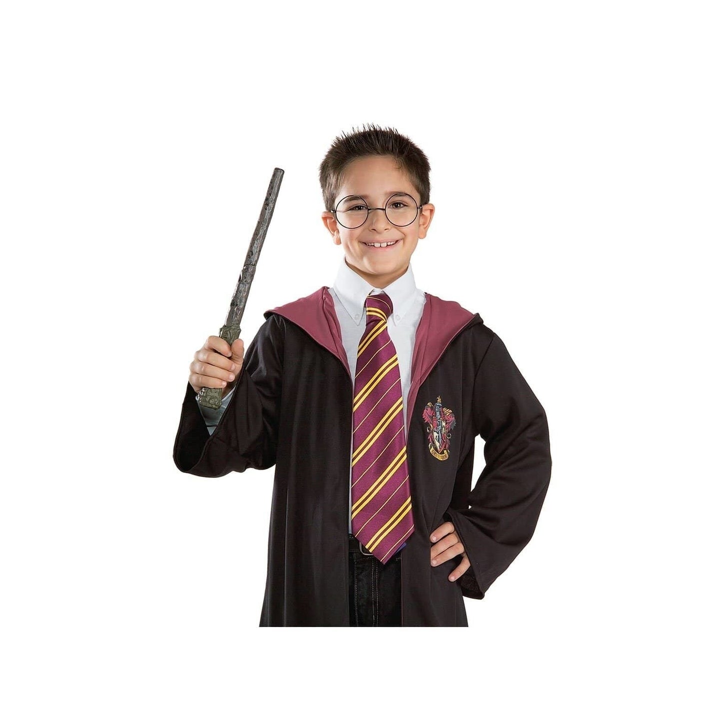 Harry Potter Tie Costume Accessory 1