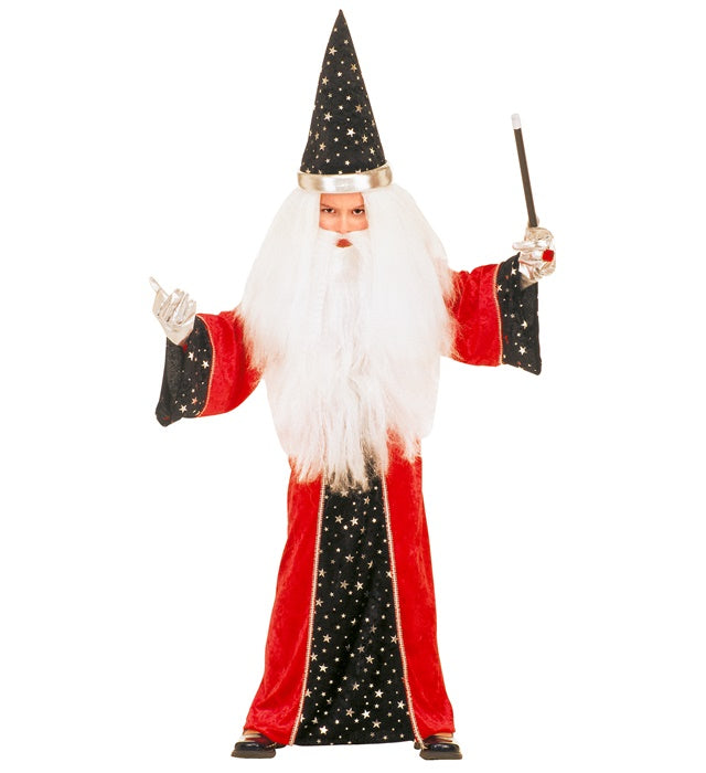 Fantasy Wizard Velvet - 4 Stylesass. -  Robe, Hat 