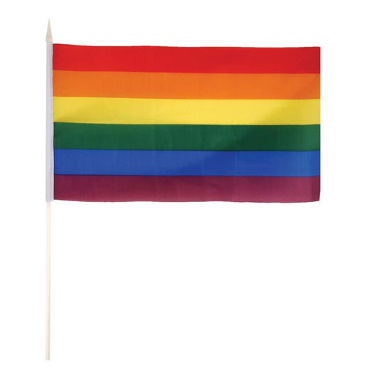 Rainbow Flag on Stick 29cm X 17cm Pride Parade 1