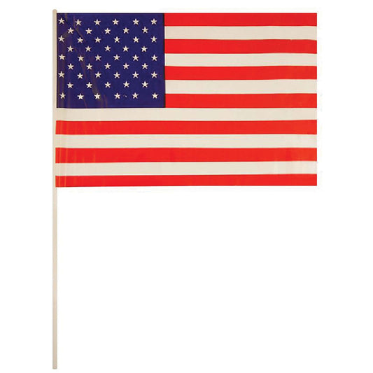 Usa Flag Hand Waving 1