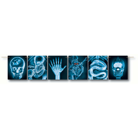 Mad Scientist Xray Banner 1