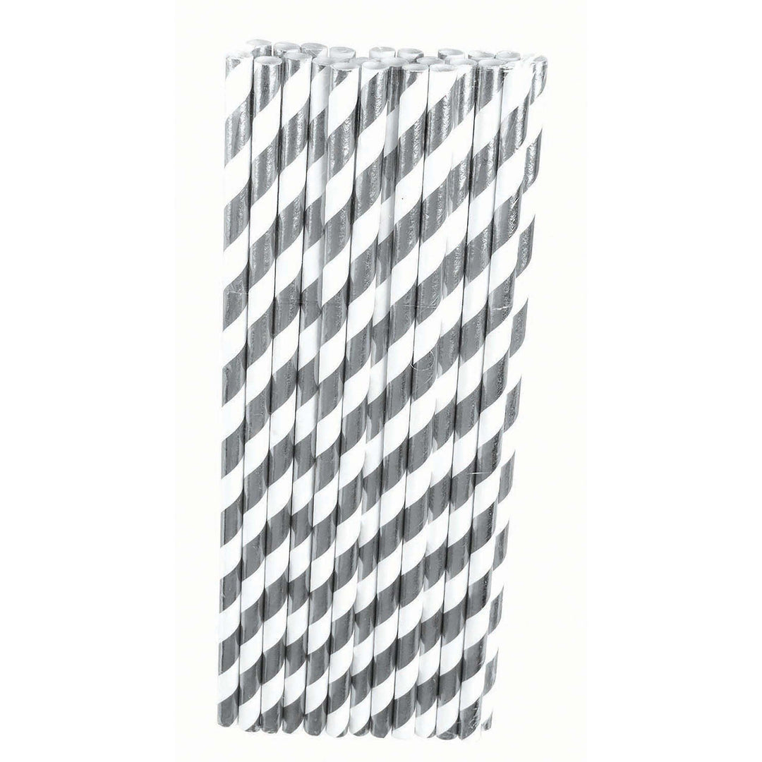 Silver White Paper Straws 24 Pack 1
