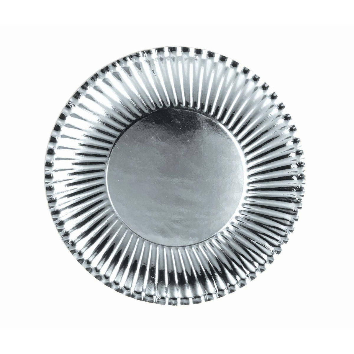 Silver Paper Plates Large 10 Pack 23cm 1