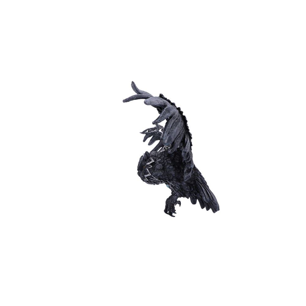 Dark Feather Owl Wall Plaque 55cm 4