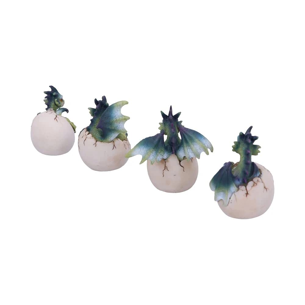 Set of Four Hatchlings Emergence Dragonling Hatching from Egg Figurine 8cm