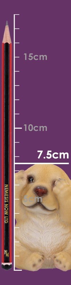 Three Wise Golden Labradors Figurines Set of 3 7.5cm