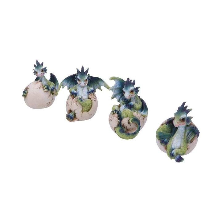 Set of Four Hatchlings Emergence Dragonling Hatching from Egg Figurine 8cm
