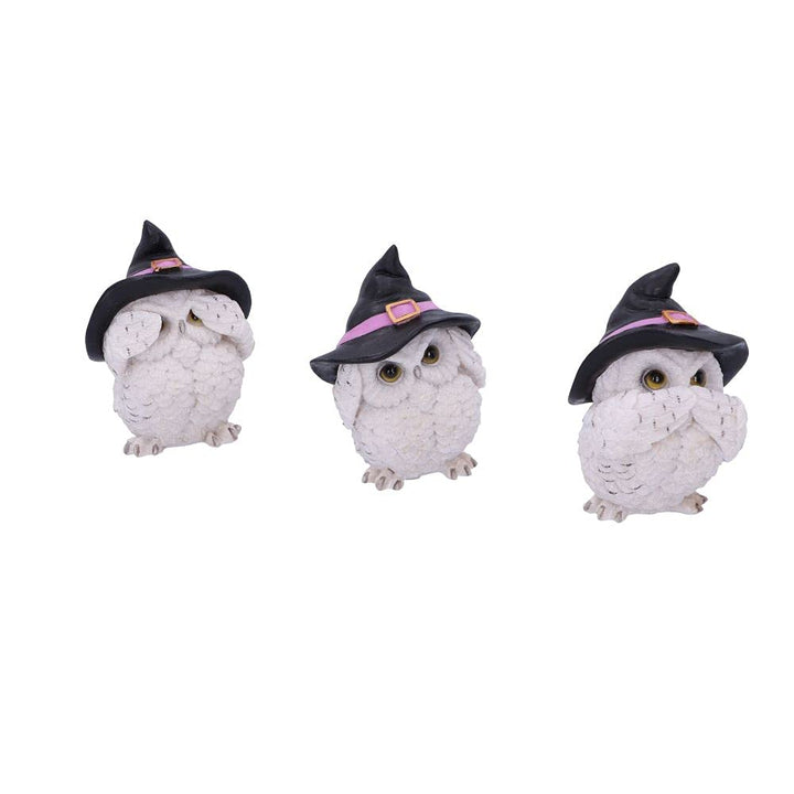 Three Wise Feathered Familiars 9cm