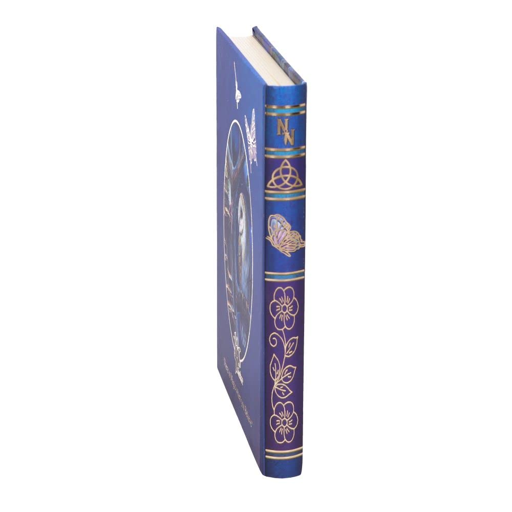 Lisa Parker Fairy Tales Journal 17cm 6