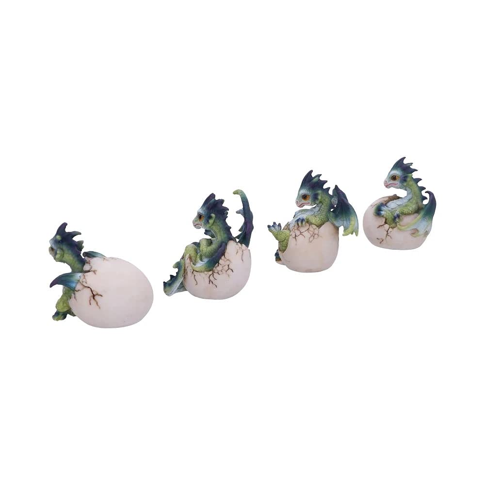 Set of Four Hatchlings Emergence Dragonling Hatching from Egg Figurine 8cm