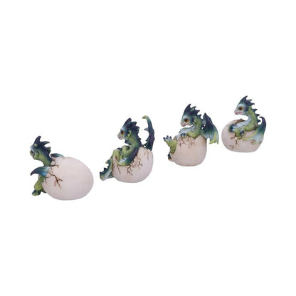 Set of Four Hatchlings Emergence Dragonling Hatching from Egg Figurine 8cm 4