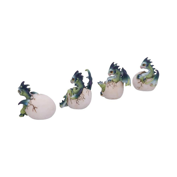 Set of Four Hatchlings Emergence Dragonling Hatching from Egg Figurine 8cm