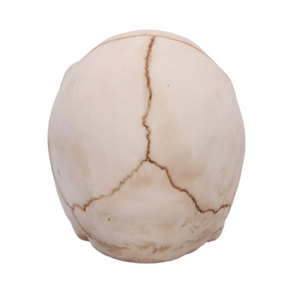 Eyes Wide Open Blue Decorative Resin Skull 12cm 4