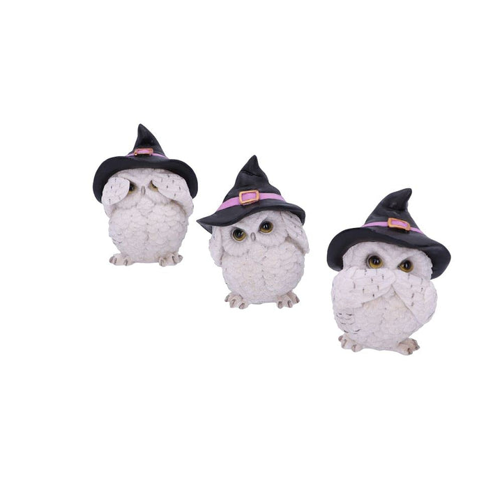 Three Wise Feathered Familiars 9cm