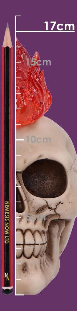 Hot-Headed Decorative Resin Skull Flame Mohawk 19cm 8