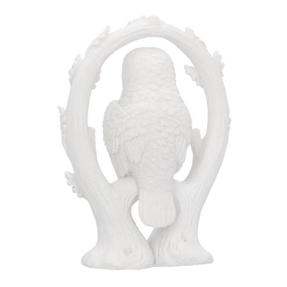 Embrace White Owl Figurine 10.9cm 5