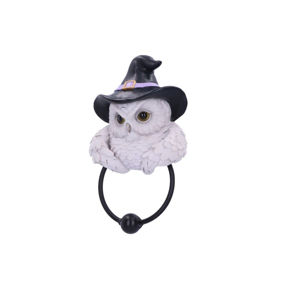 Snowy Owl Magic Door Knocker 21cm