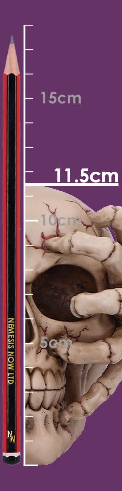 Cracked Decorative Resin Skull 15cm 8