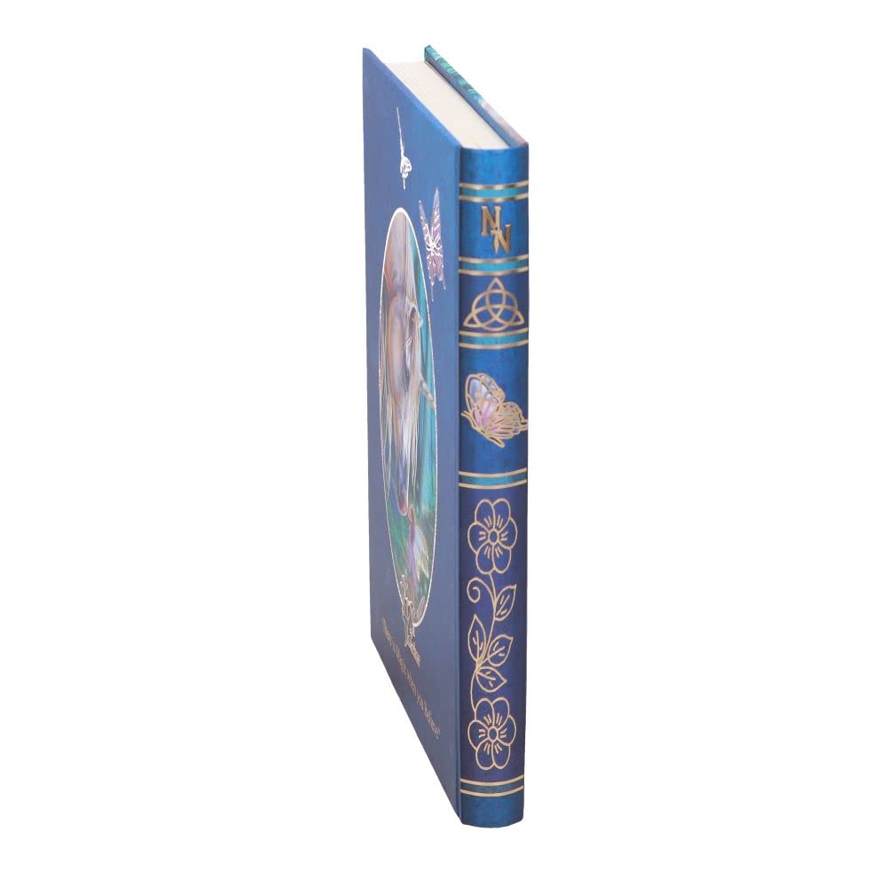 Lisa Parker Fairy Whispers Journal 17cm 5