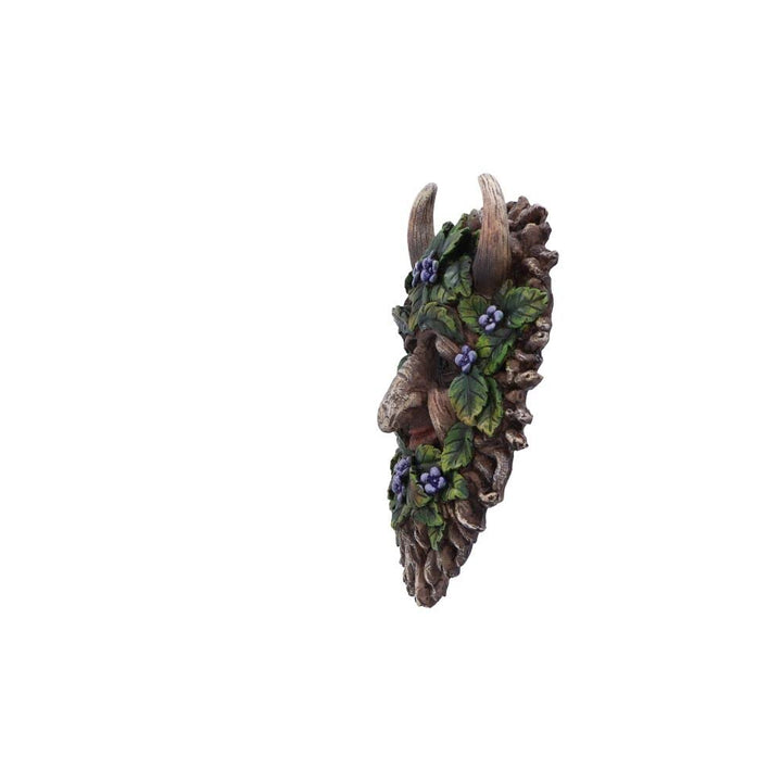 Alder Wall Mounted Tree Spirit 20.2cm