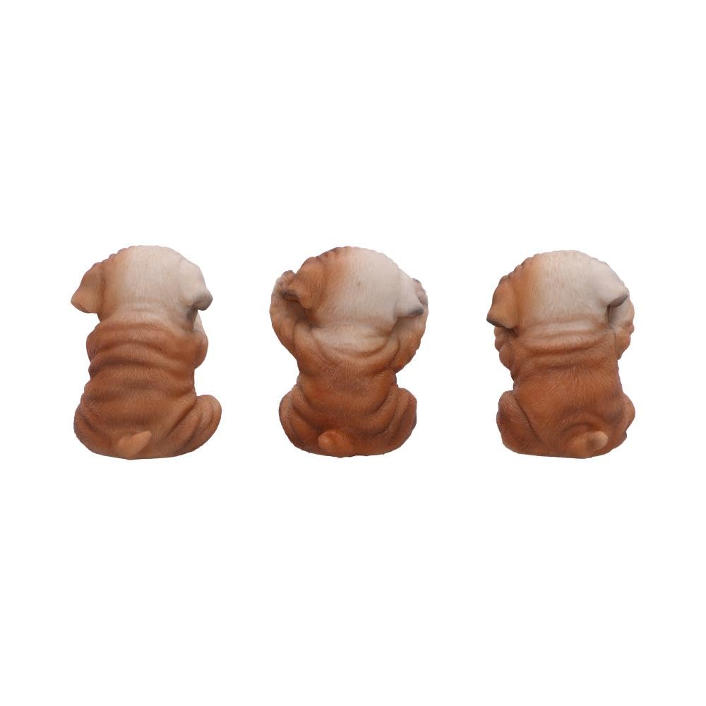 Three Wise Bulldogs Figurines Set of 3 7.5cm