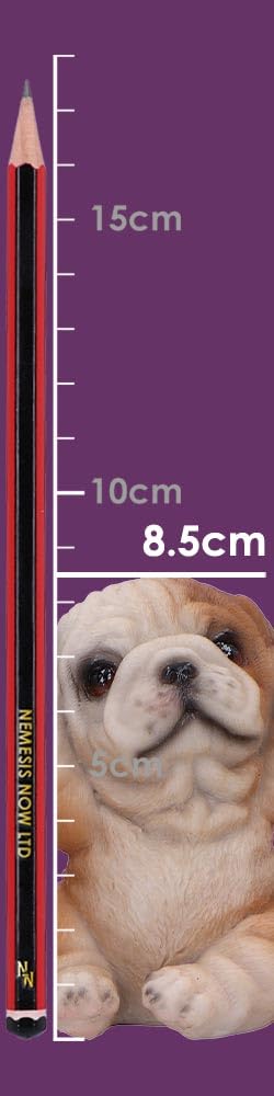 Three Wise Bulldogs Figurines Set of 3 7.5cm