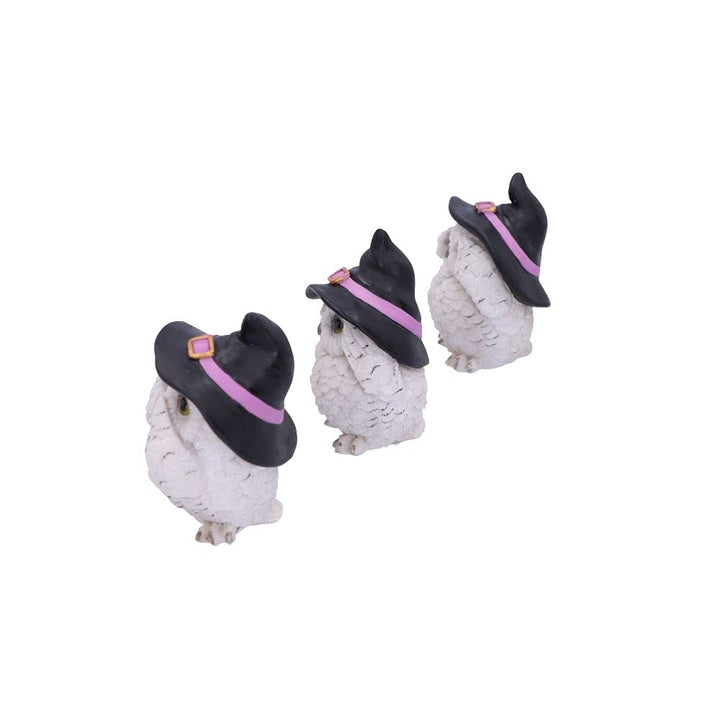 Three Wise Feathered Familiars 9cm