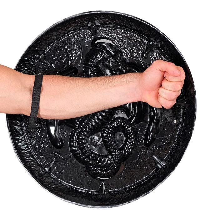 Dragon Shield With Handles 48 Cm  