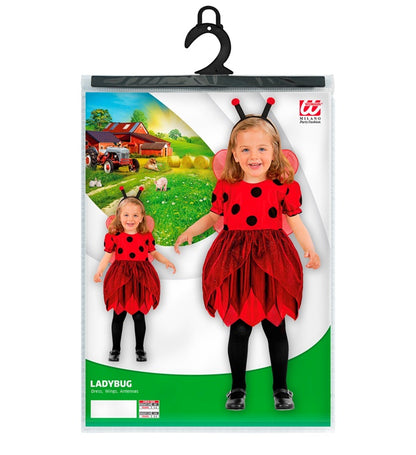 Ladybug  Dress, Wings, Antennas 