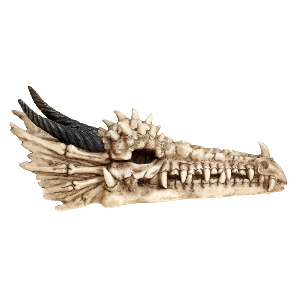 Draco Dragon Skull Incense Holder 24cm 4