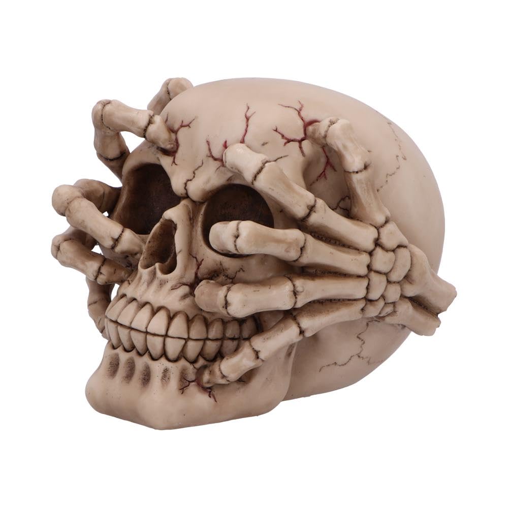 Cracked Decorative Resin Skull 15cm 3