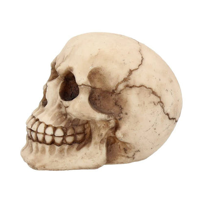 Joker Skull Ornament 12cm 4