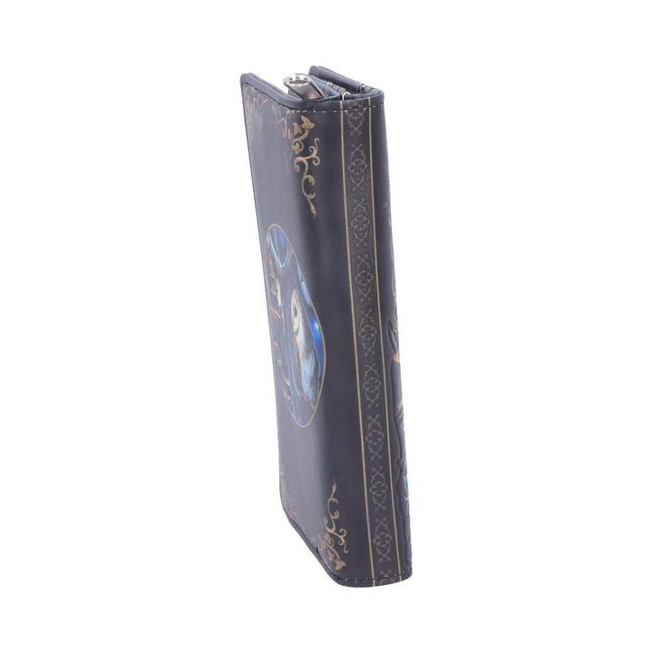 Lisa Parker Fairy and Owl Purse Tales Embossed LP 18.5cm