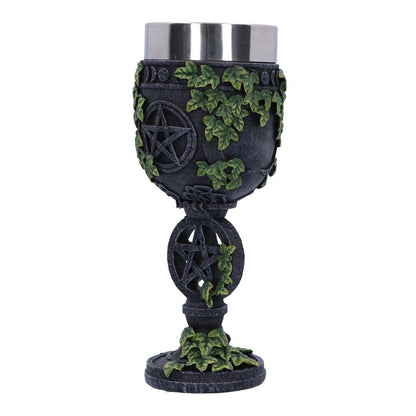 Aged Wiccan Pentagram Goblet 19.5cm 3