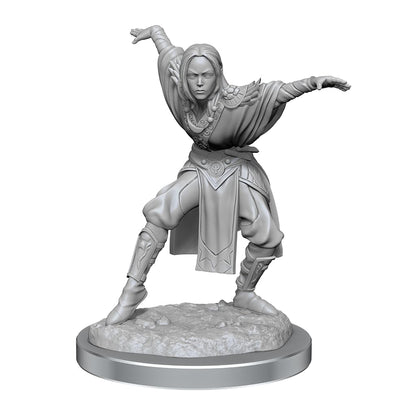 Half-Elf Monk Female: Pathfinder Deep Cuts Unpainted Miniatures (W21) 2