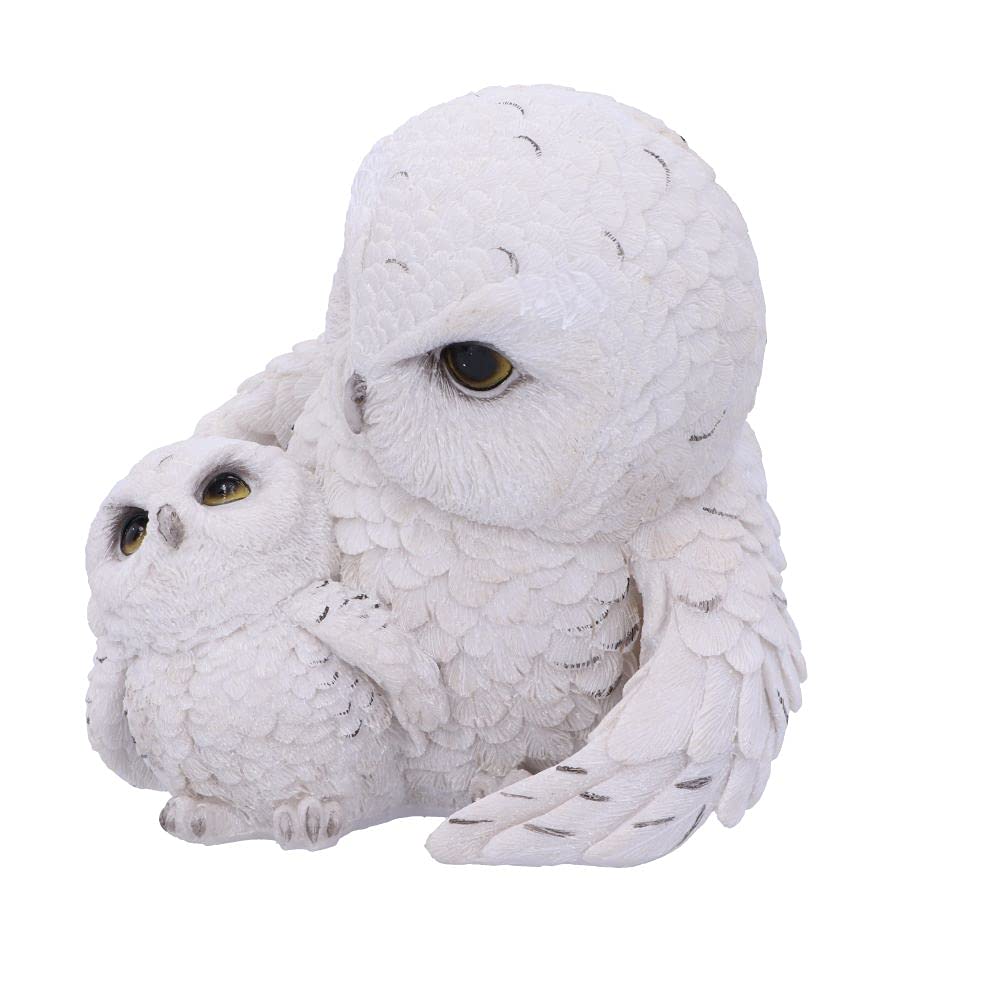Feathered Guide Owl Figurine 13.5cm