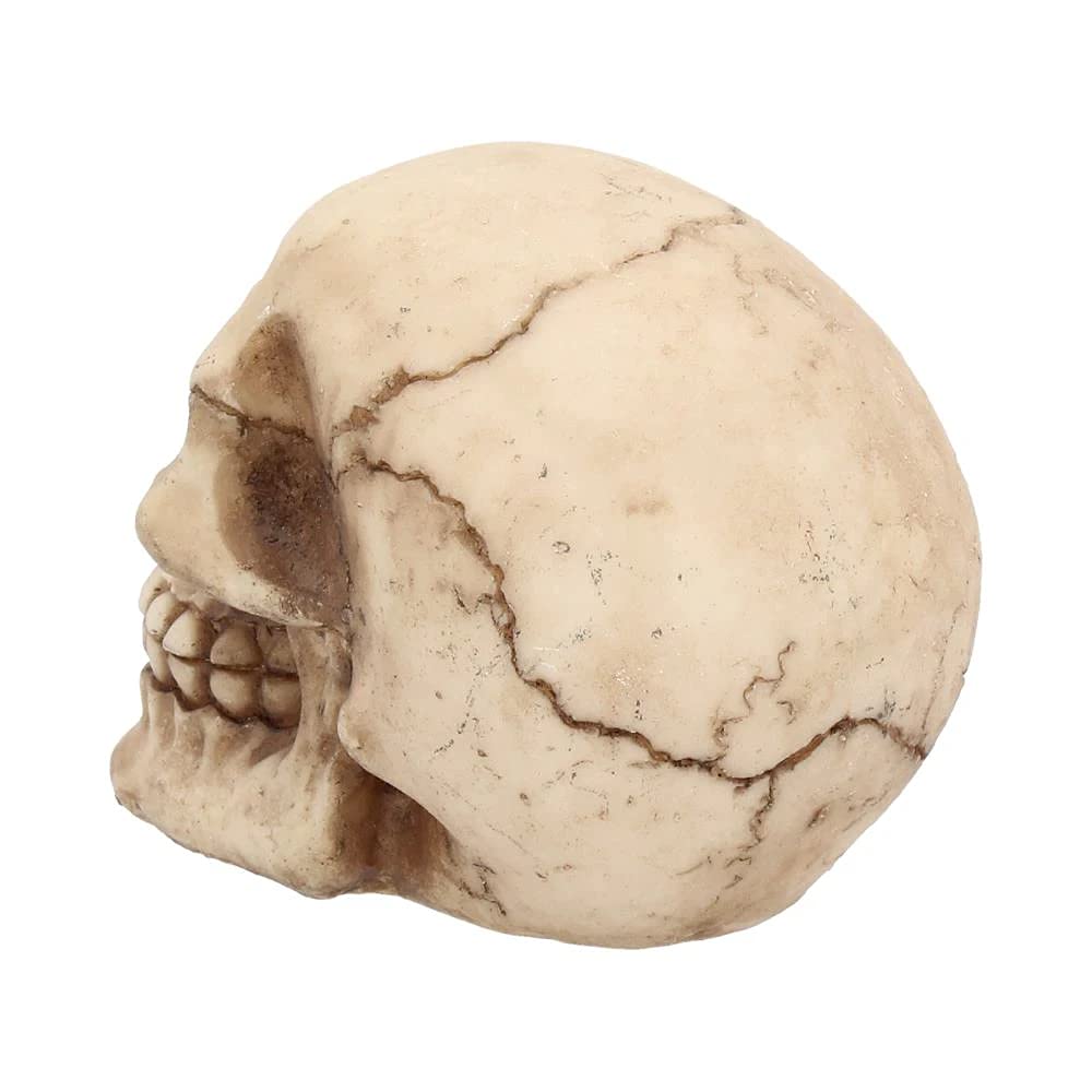 Joker Skull Ornament 12cm 5