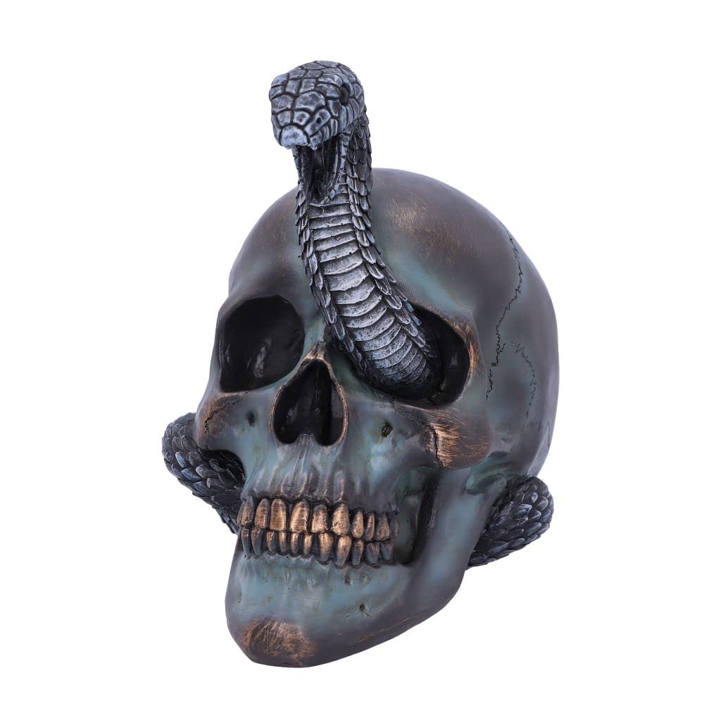 Serpentine Fate Gothic Snake Skull 19cm