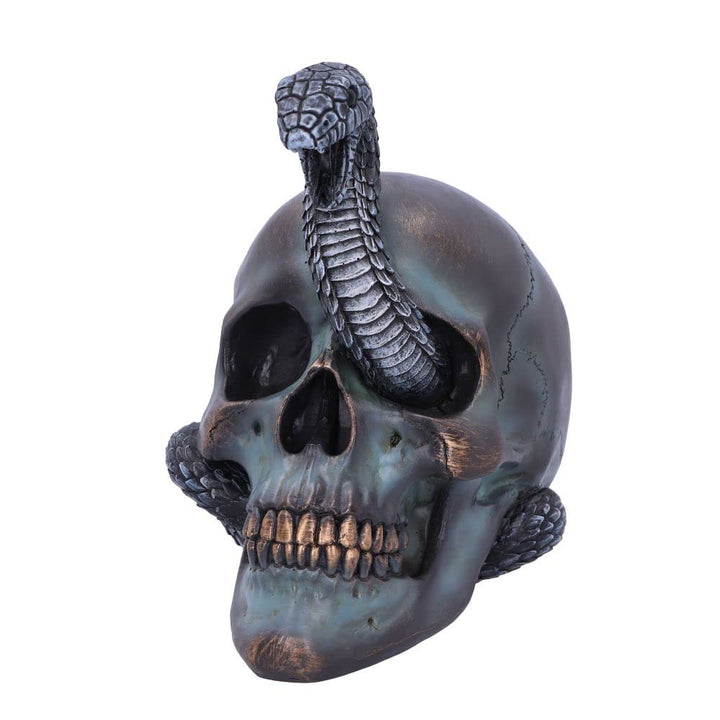 Serpentine Fate Gothic Snake Skull 19cm