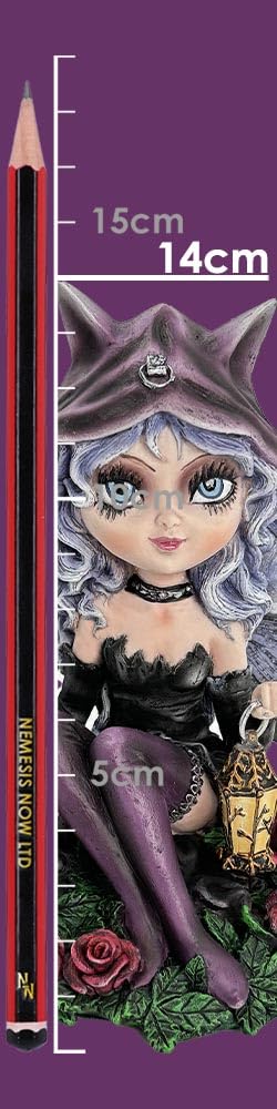 Midnight Fae Gothic Fairy with Cat Figurine 14cm Resin Statue 3