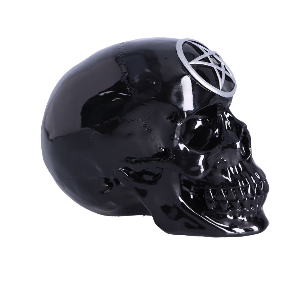 Black Magic Skull 19.5cm 6