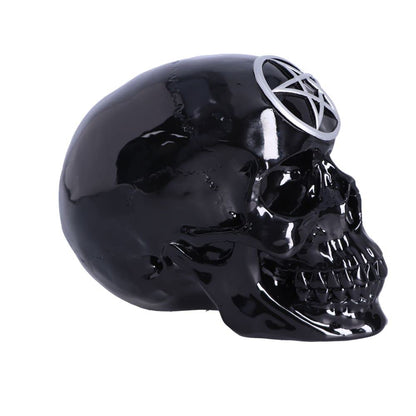 Black Magic Skull 19.5cm 6