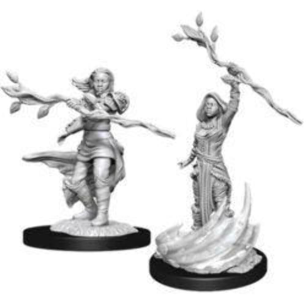 Male Human Druid D and D Nolzurs Marvelous Unpainted Miniatures Miniature Game by Wiz Kids 5