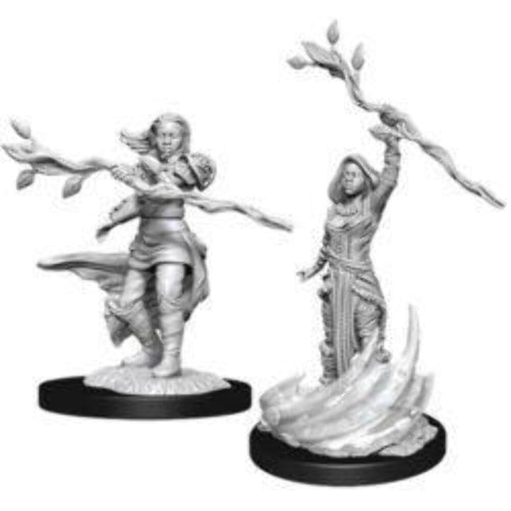Male Human Druid: D&D Nolzur's Marvelous Unpainted Miniatures 5