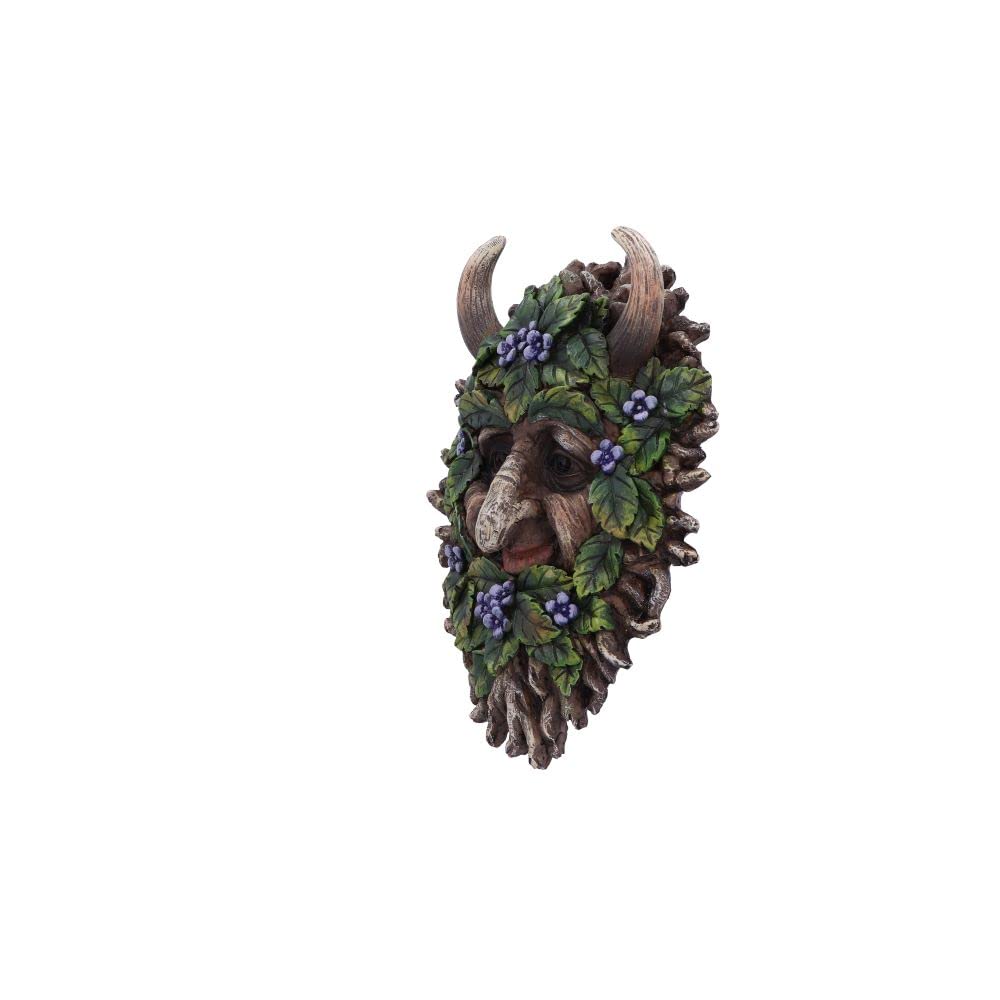Alder Wall Mounted Tree Spirit 20.2cm 2