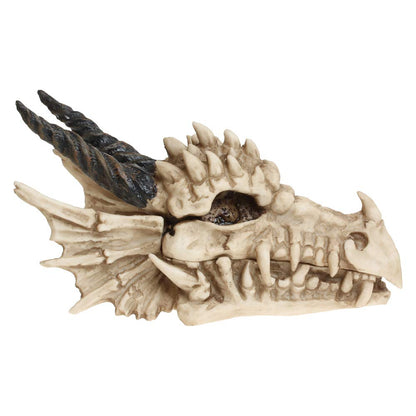 Fantasy Gothic Dragon Skull Trinket Box 20cm 4