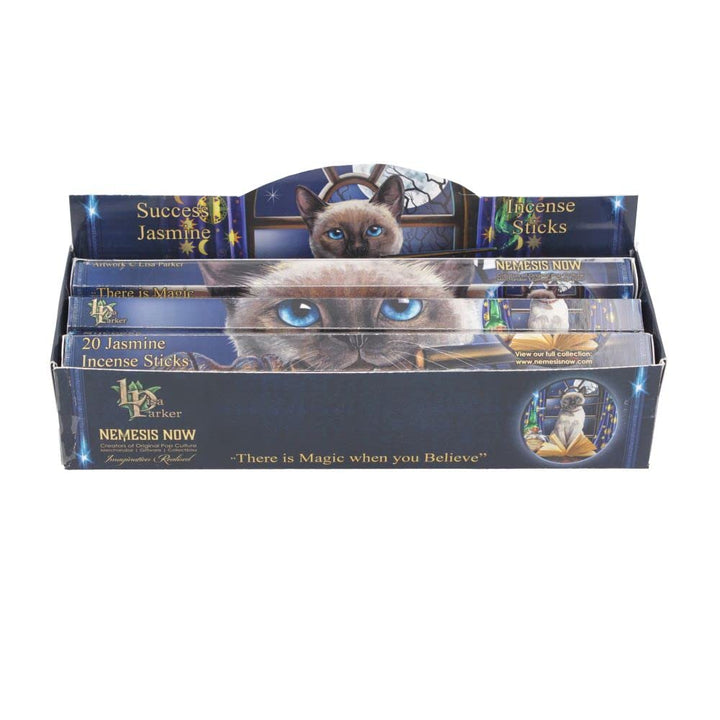 Lisa Parker Jasmine Scented Success Incense Sticks LP