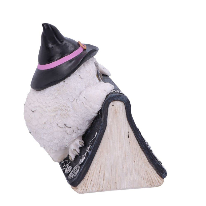 Owl with book Figurine 15cm Owls Spell