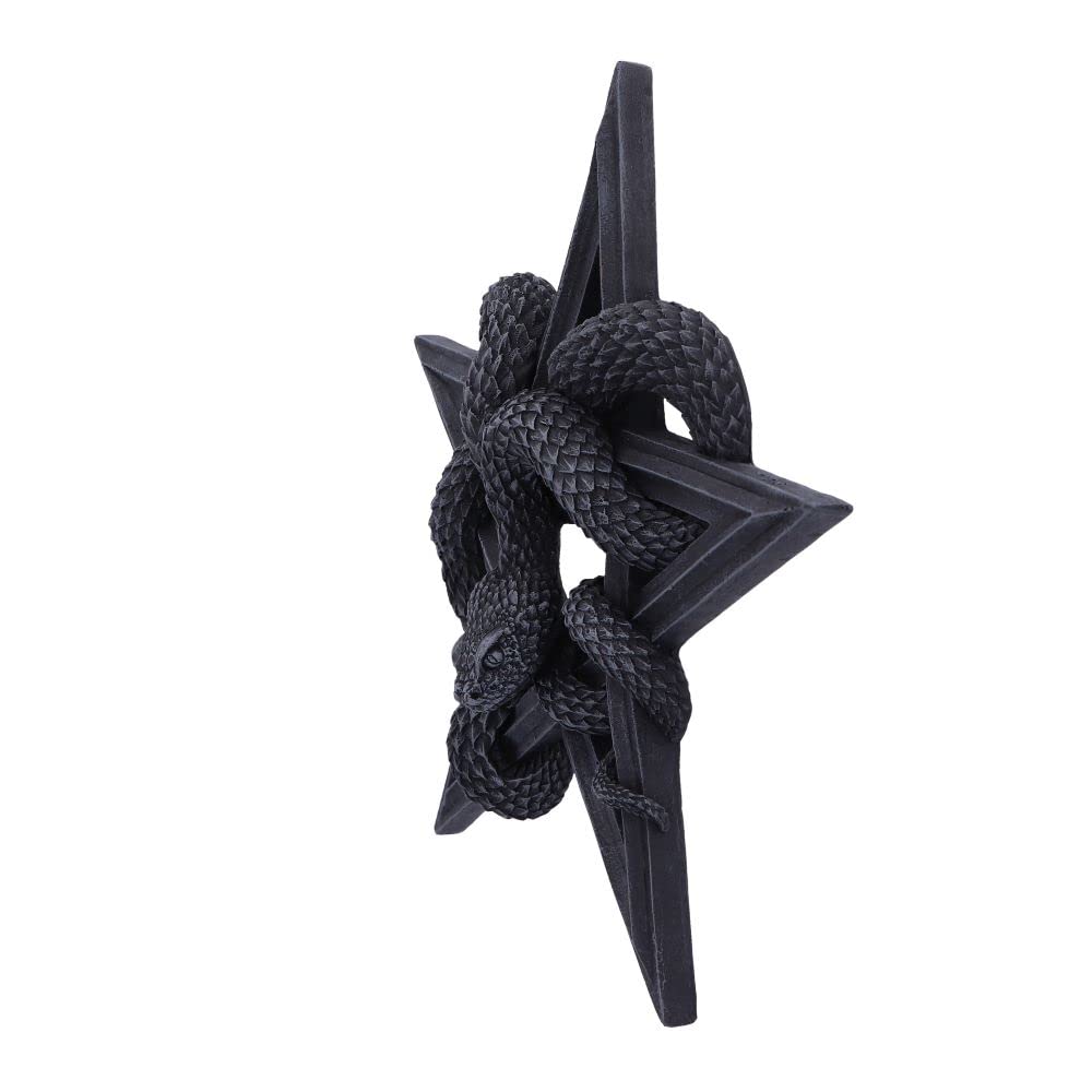 Serpents Worship Snake Wall Plaque 24cm Serpents