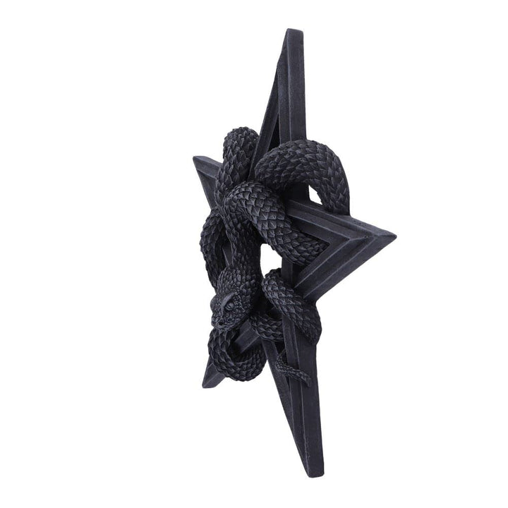 Serpents Worship Snake Wall Plaque 24cm Serpents